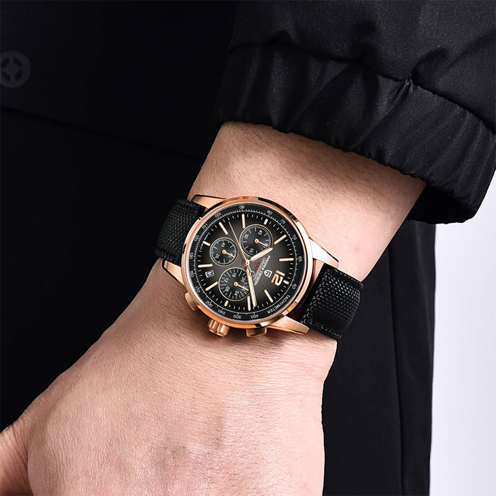 PAGANI DESIGN New Mens Watch 4 - Luxury Watch Men review and price